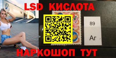 гидропоника Дубна