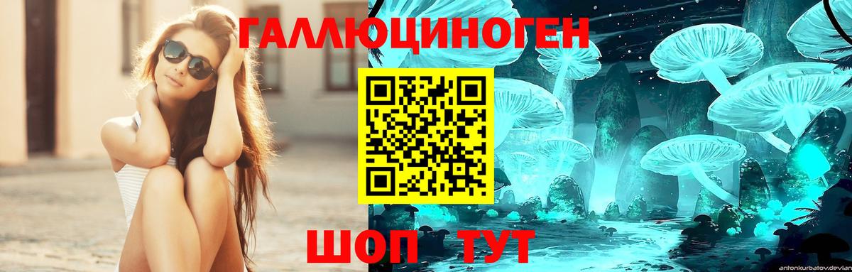 Галлюциногенные грибы мицелий  Вход с VPN  Новомосковск 